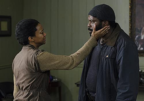 The Walking Dead - L'intégrale de la saison 5