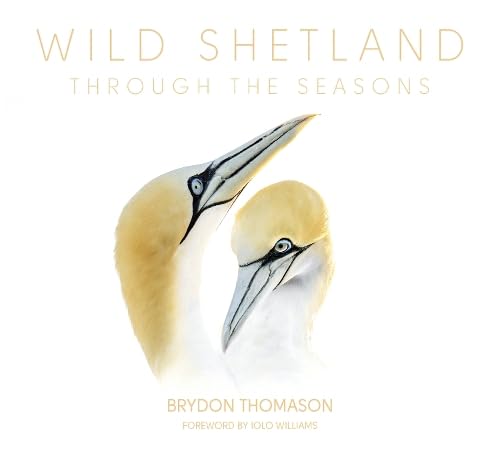 Wild Shetland