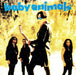 Baby Animals
