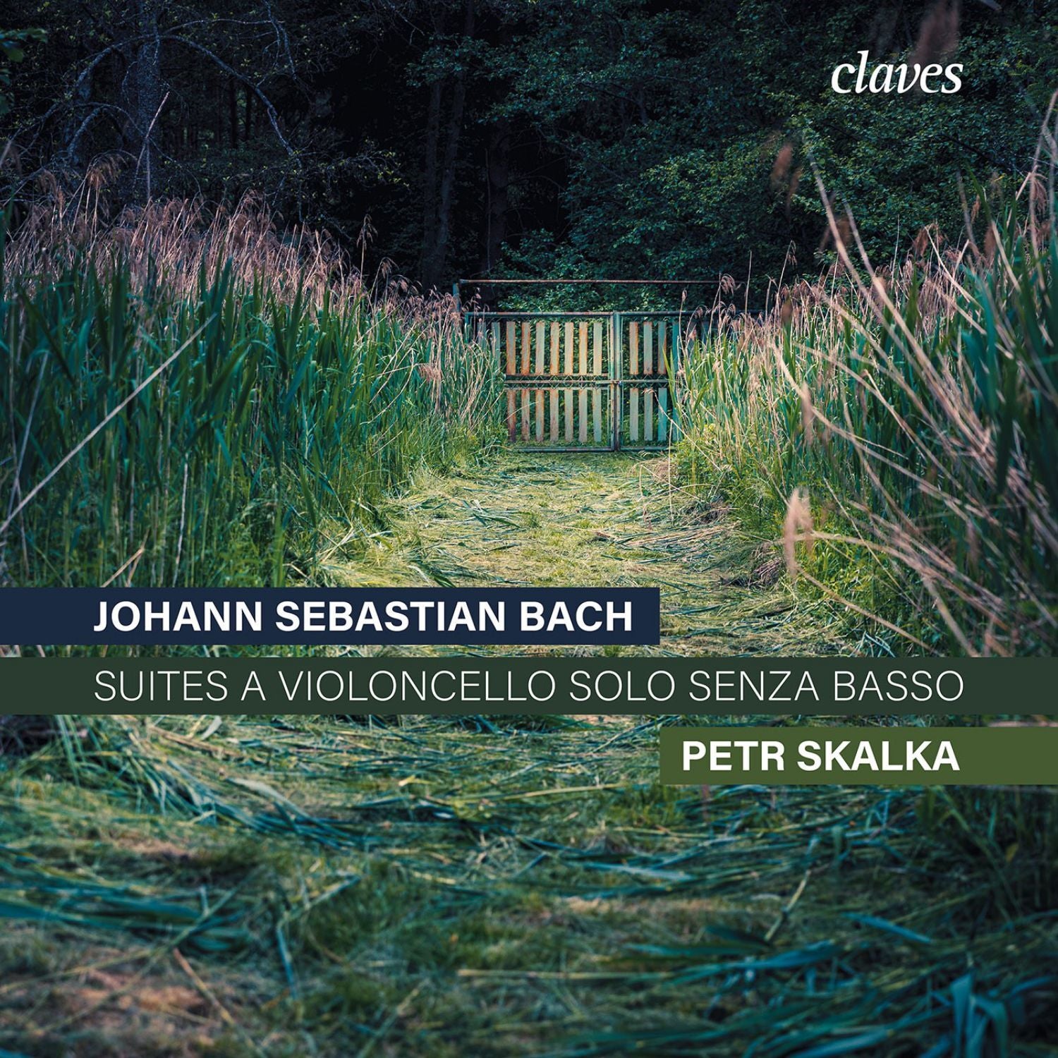 Johann Sebastian Bach: Suites a Violoncello Solo Senza Basso