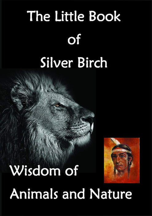 Little Book of Silver Birch