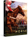 Dream horse