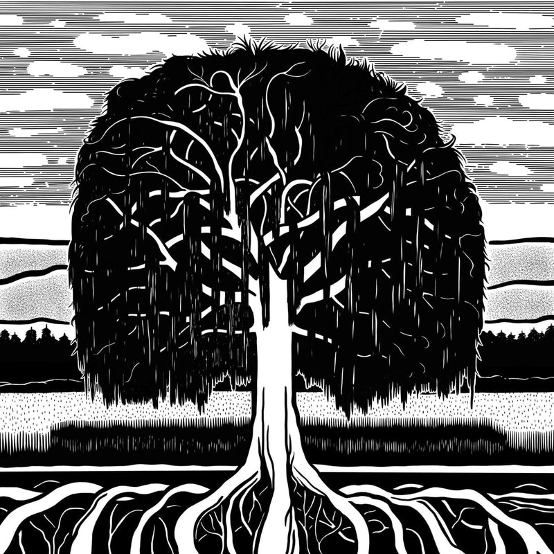 The Willow Tree