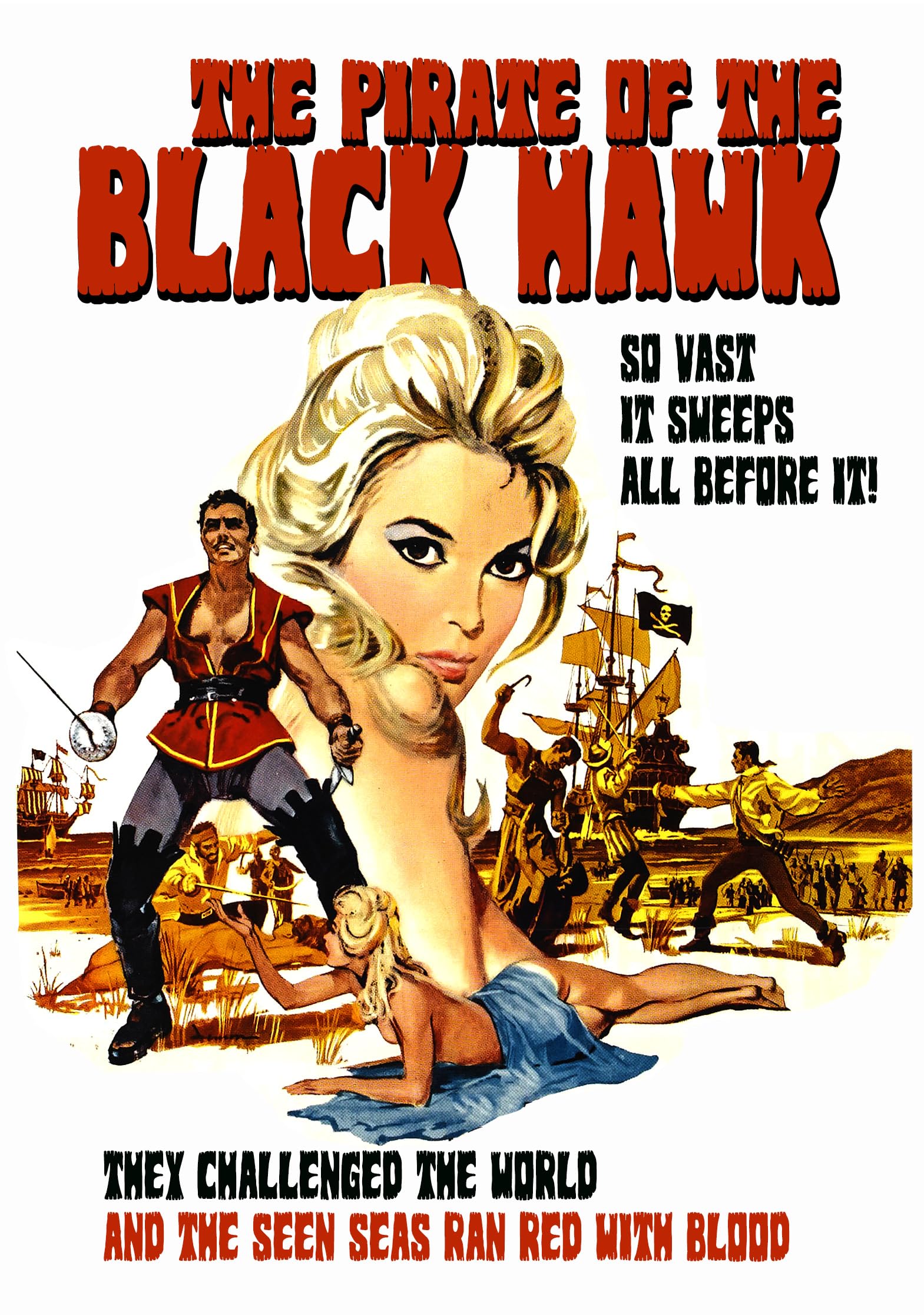 Pirate Of The Black Hawk