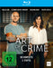 The Art of Crime, Staffel 3 / Weitere Folgen der preisgekrönten Krimiserie