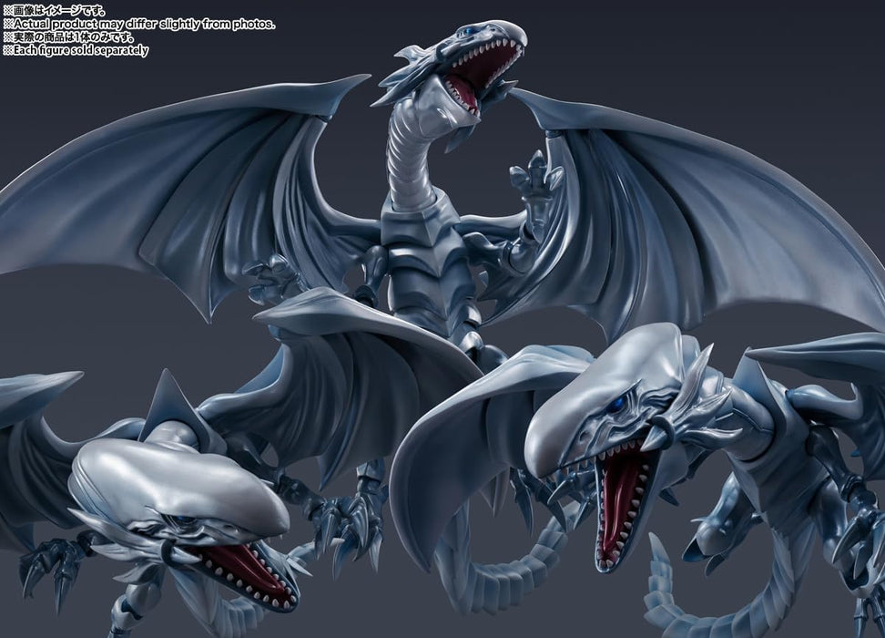 TAMASHII NATIONS - Yu-Gi-Oh! Duel Monsters - Blue-Eyes White Dragon, Bandai Spirits S.H.MonsterArts Action Figure