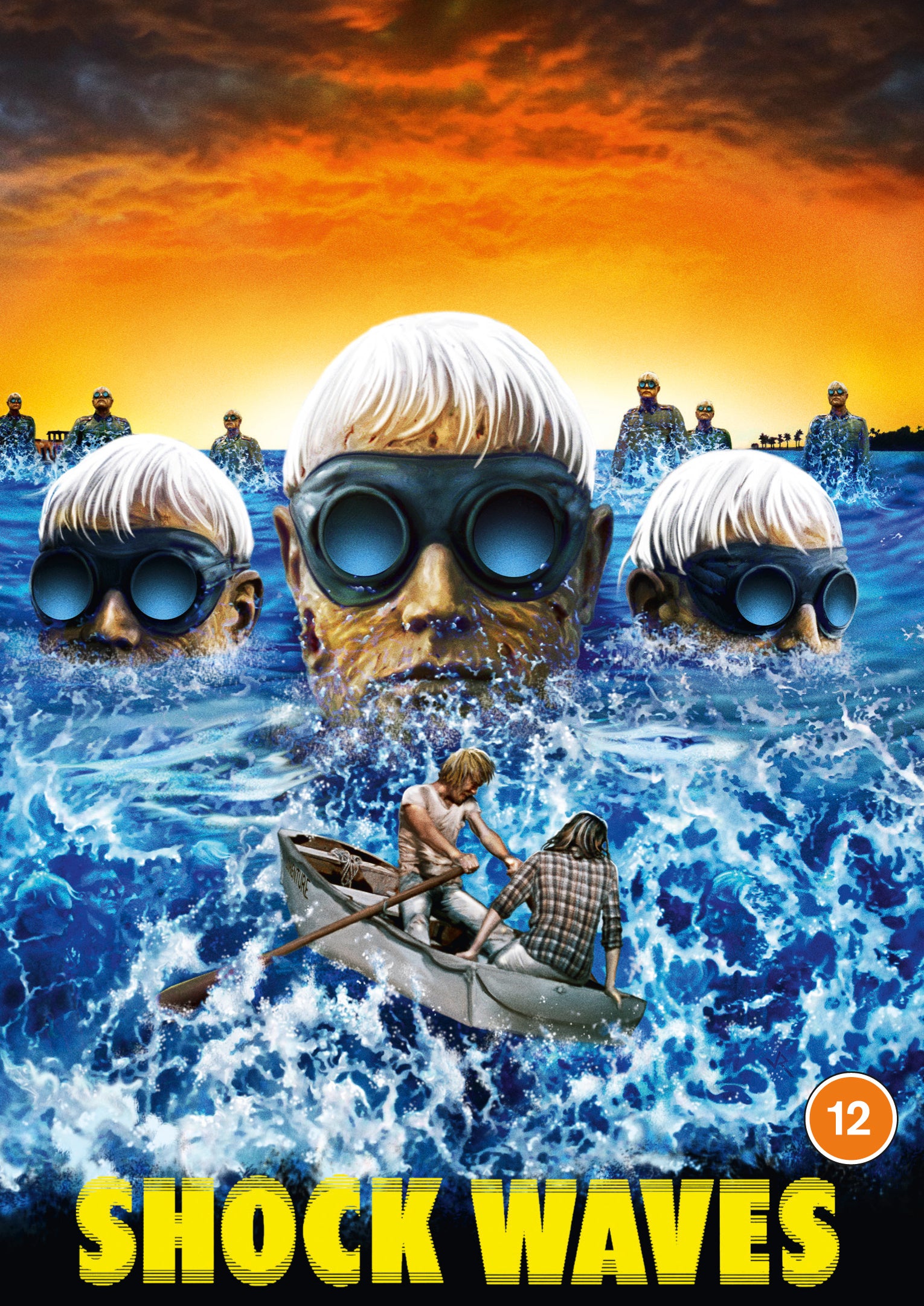 Shock Waves