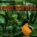 The Sound Of Tropical Rain Forest