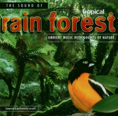 The Sound Of Tropical Rain Forest