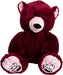 Mood Bears | Mini Silly Teddy Bears for All Ages | Soft Plush Stuffed Animal Toy | Cuddly Teddy Bear for Babies