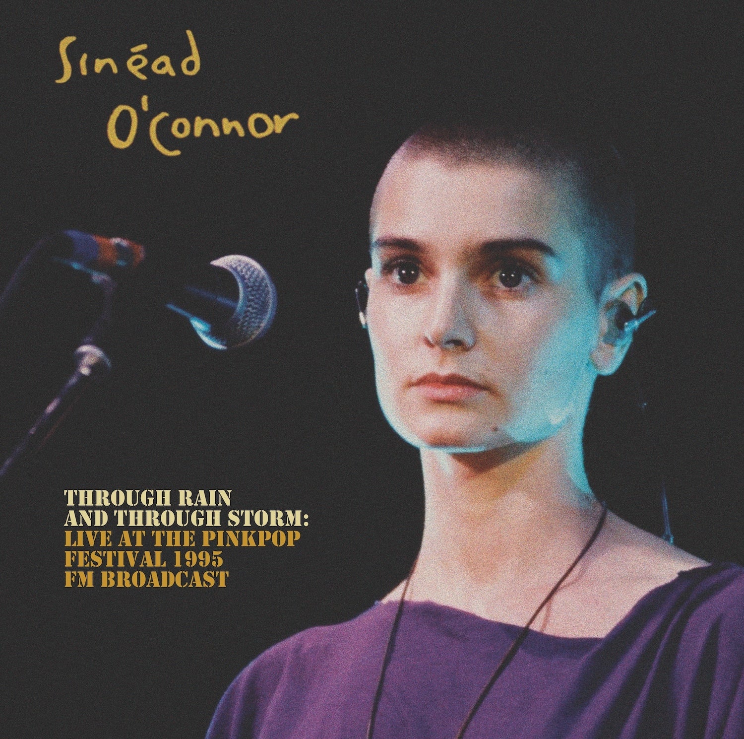 Through Rain and Through Storm: Live at the Pinkpop Festival 1995 - FM Broadcast