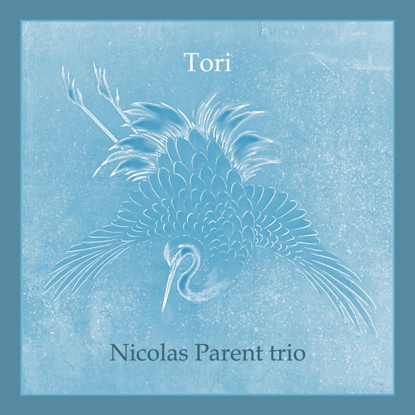 Tori