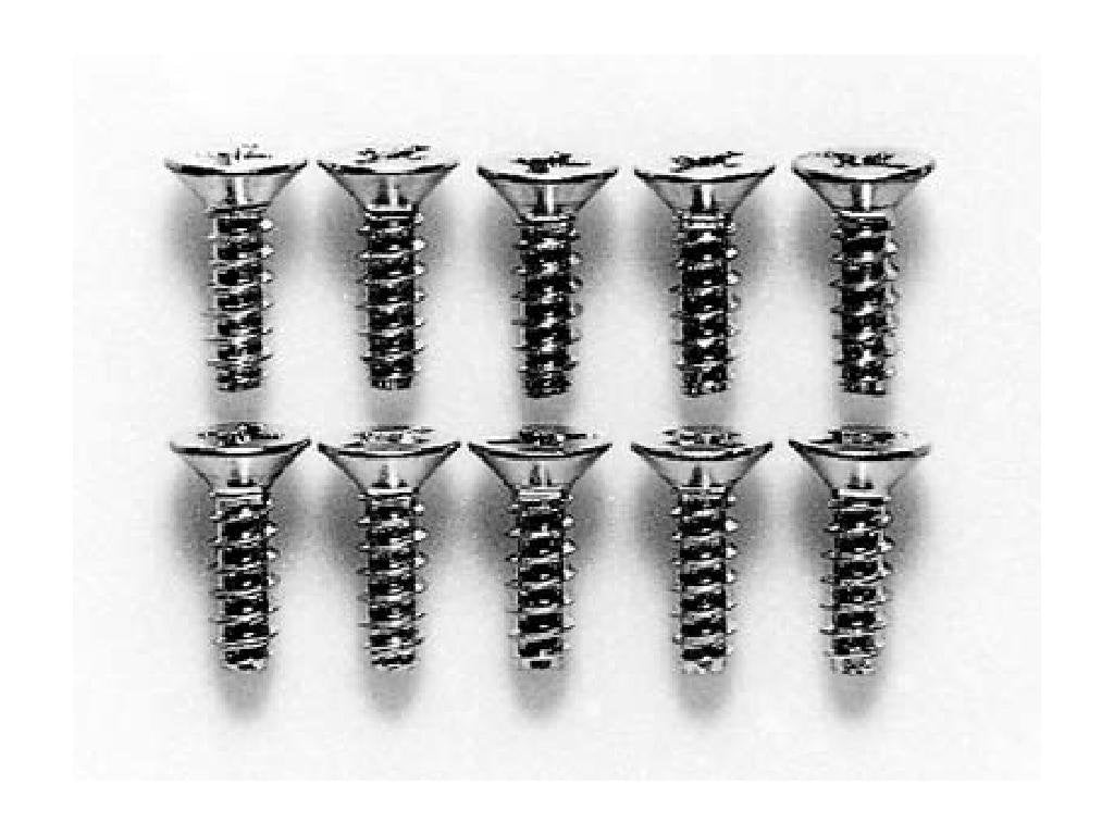 TORNILLOS CABEZA PLANA 3x10mm. (10