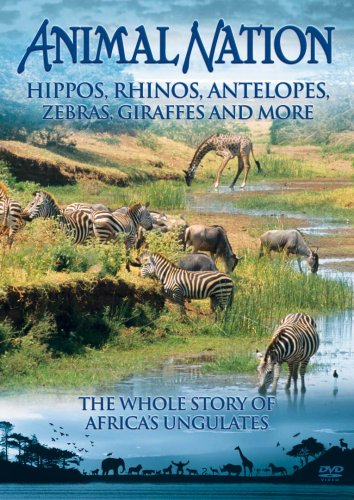 Animal Nation: Hippos, Rhinos, Zebras, Giraffes And More