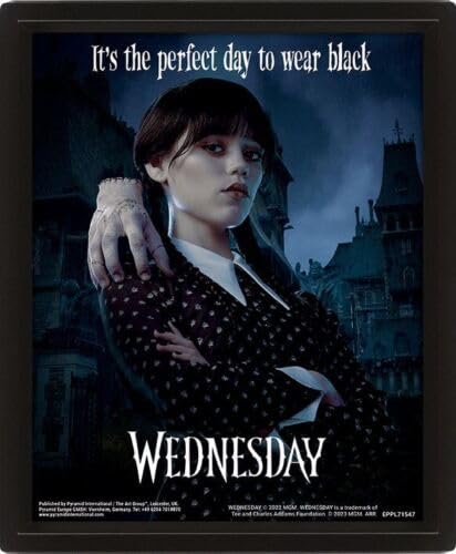 Pyramid International Wednesday Addams Framed 3D Picture