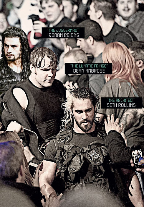 WWE: Destruction Of The Shield