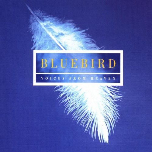 Bluebird - Music of Contemplation