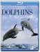 Dolphins Spy in the Pod