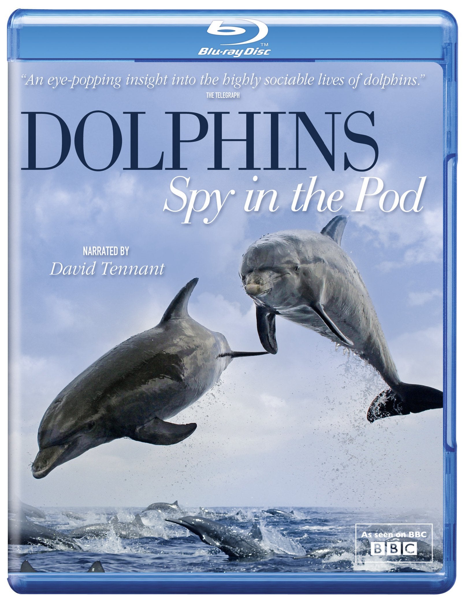 Dolphins Spy in the Pod