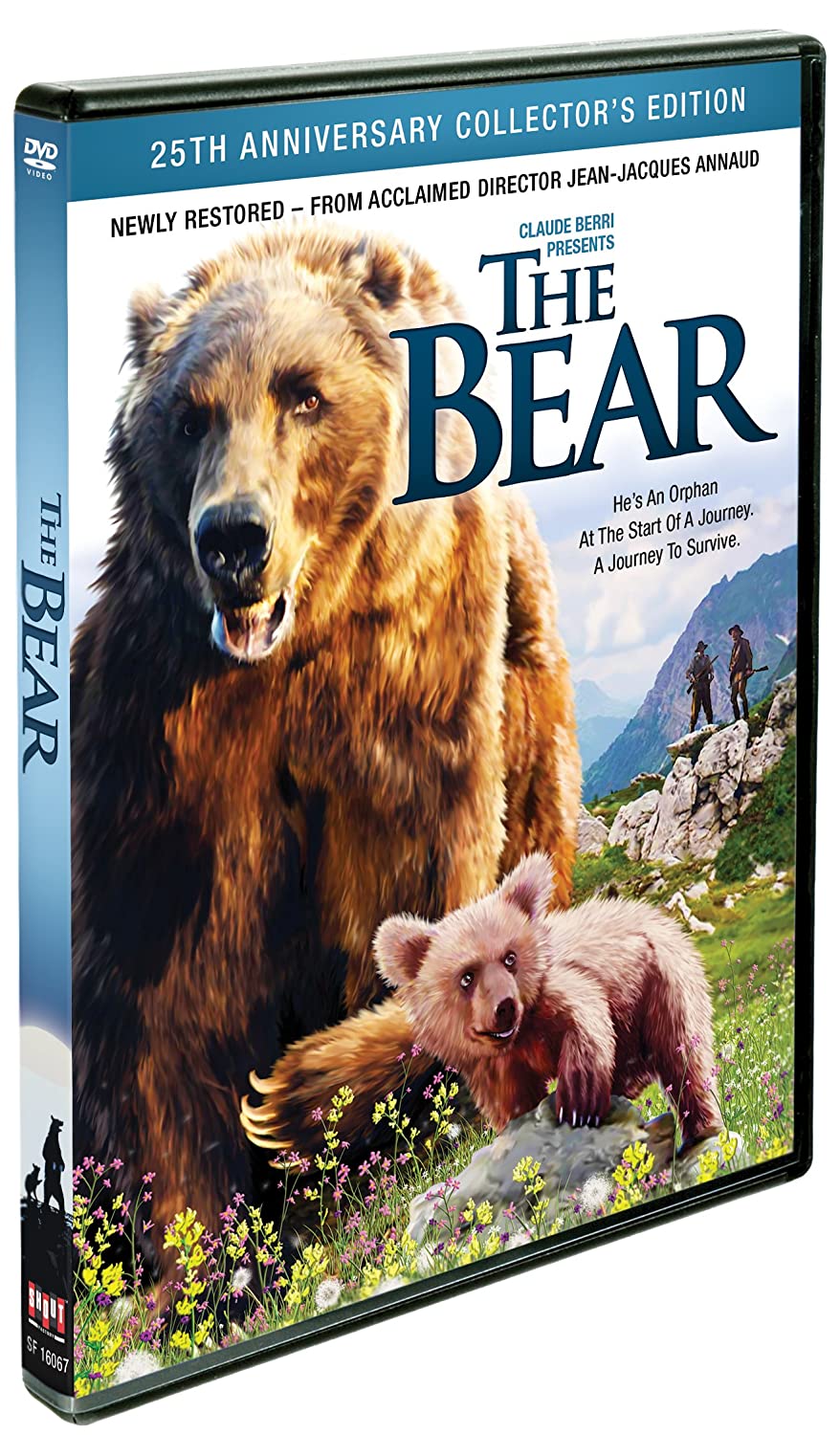 The Bear
