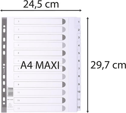 Exacompta - Ref MWD1-12Z-EW - Mylar Printed Indices - For Use With A4+ Documents, Pre-Punched, 160gsm White Card with Reinforced Plastic Tabs, FSC-Certified - 12-Part Dividers (1-12
