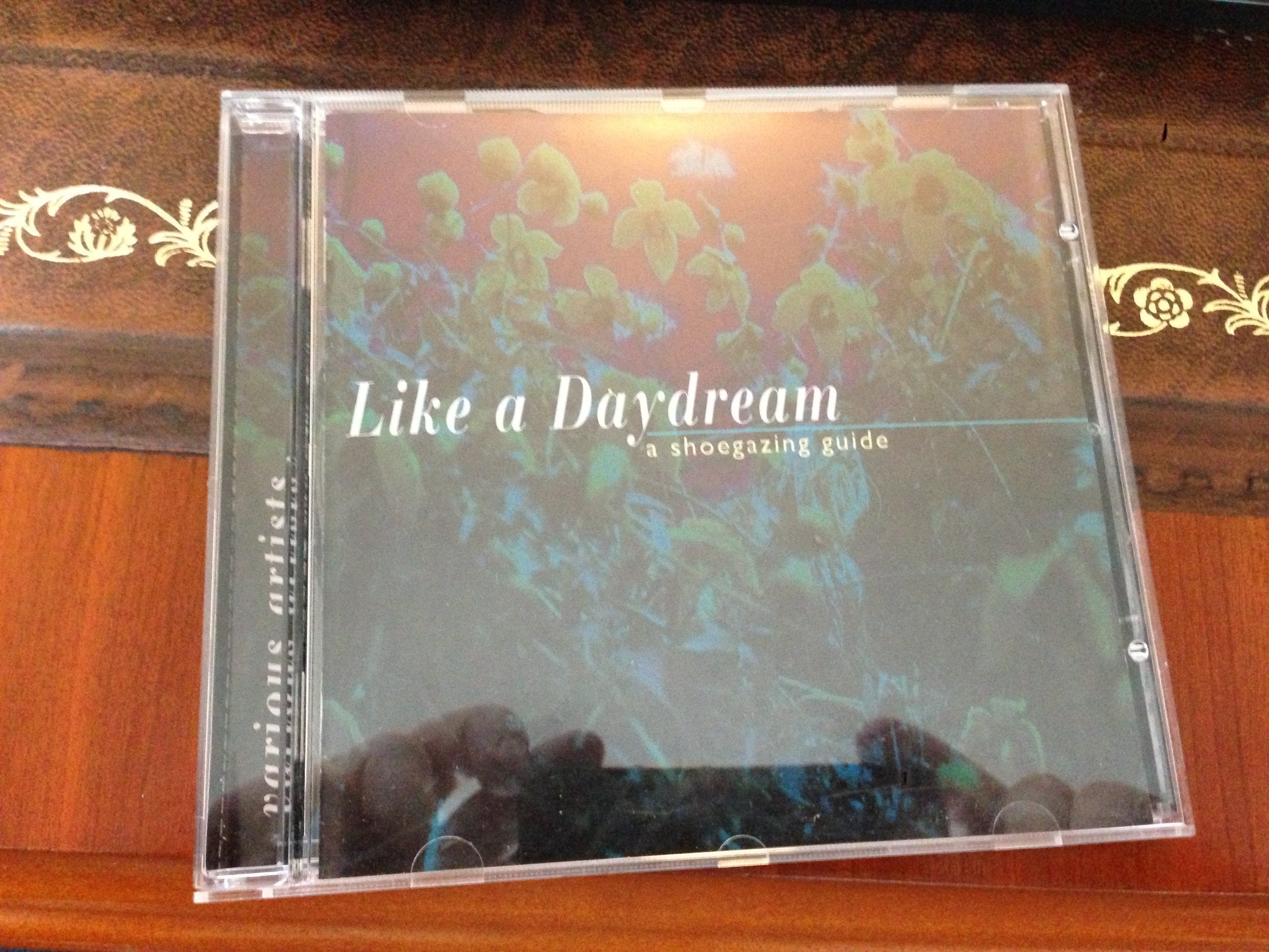 Like a Daydream - A Shoegazing Guide