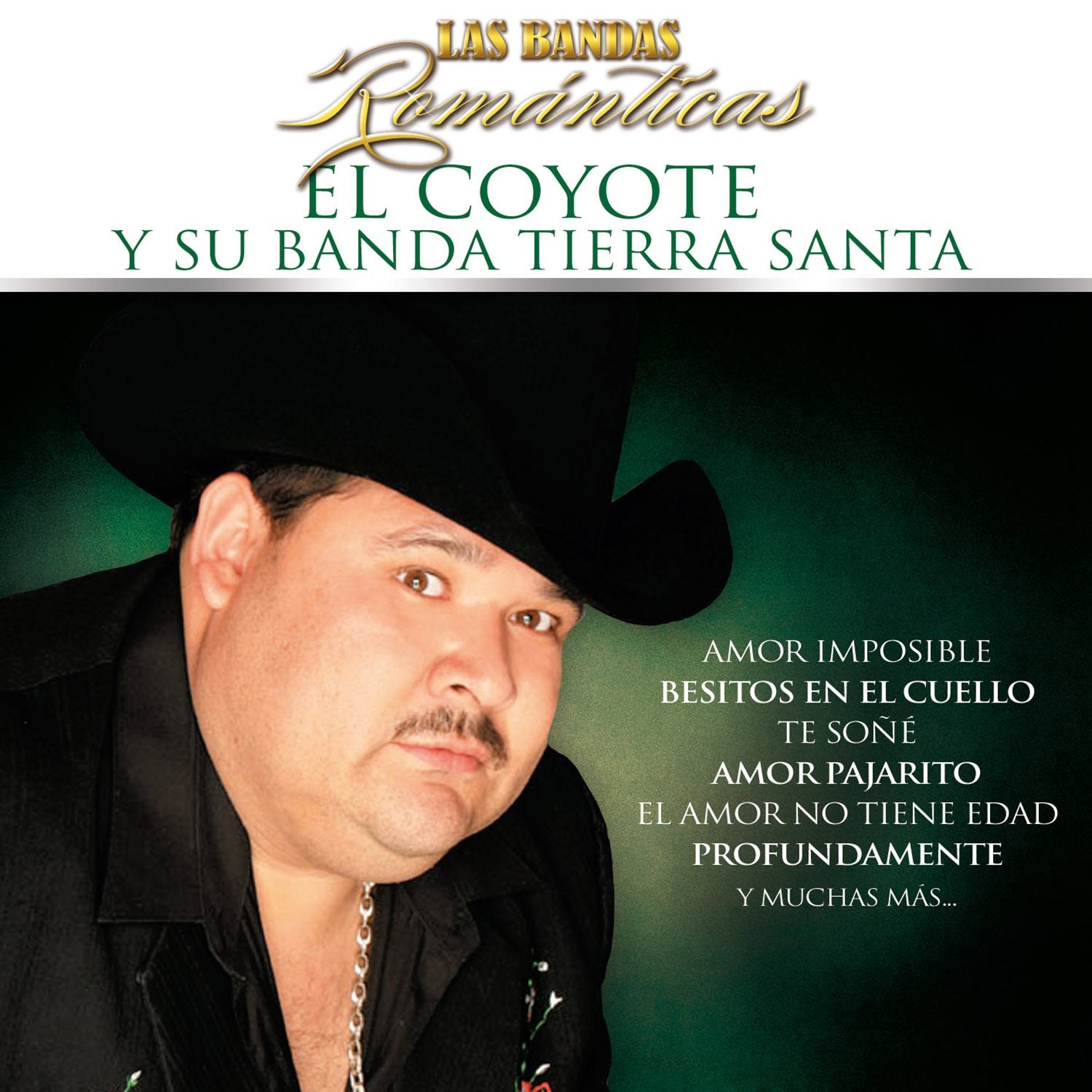 Bandas Romanticas