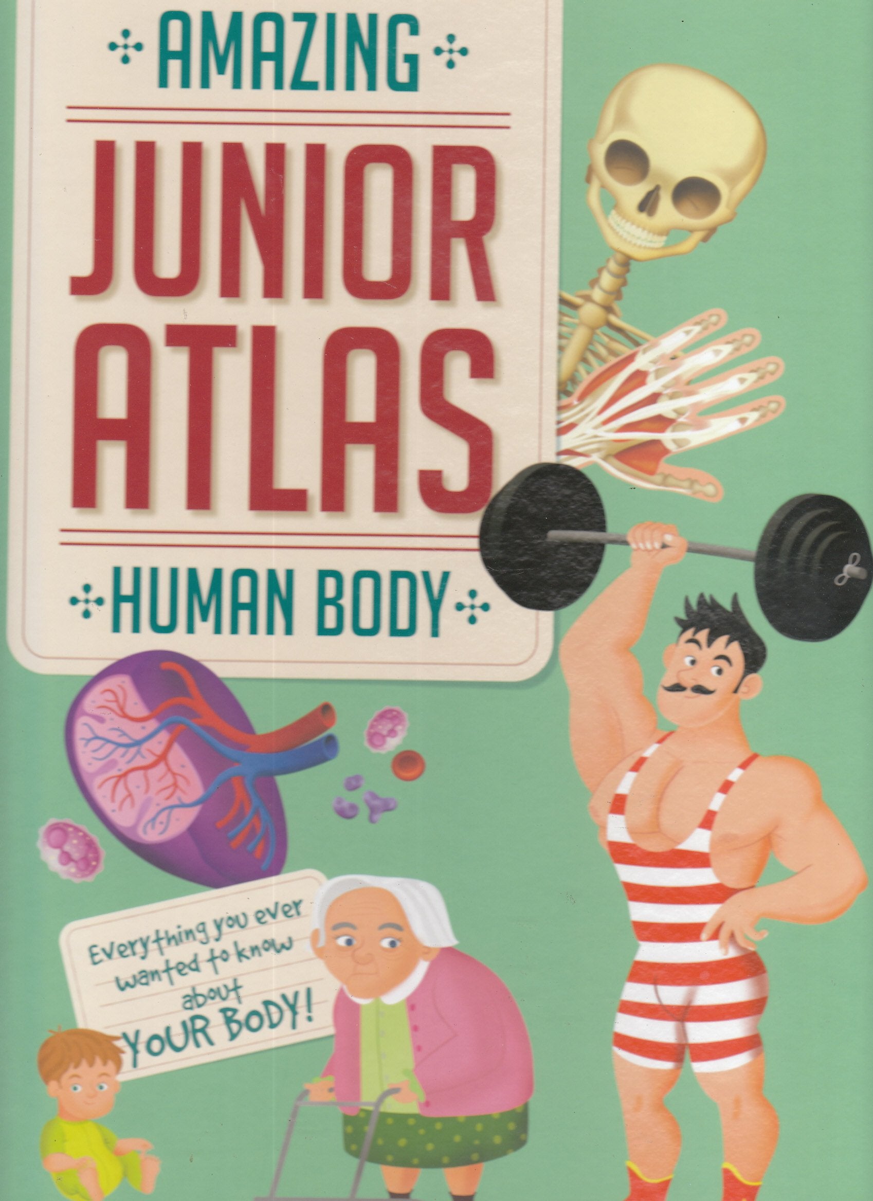 Human body (Amazing Junior Atlas)
