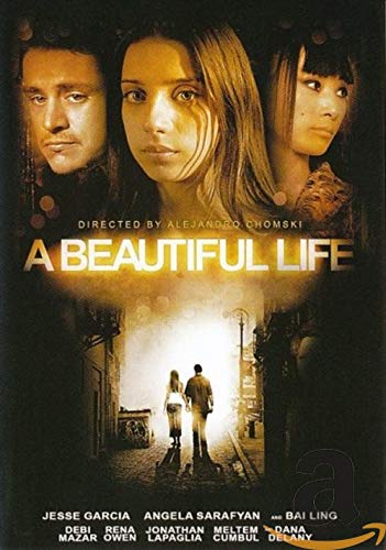 dvd - a Beautiful Life (1 DVD