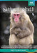 Natural World - Snow Monkeys - Who`S Hot And Who`S Not [Region 2] - Dutch Import