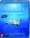 Turtle - The incredible journey