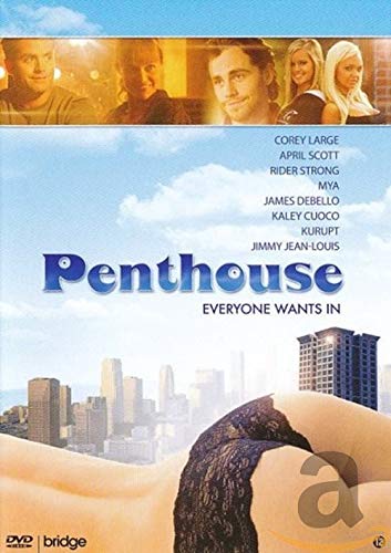 dvd - Penthouse (1 DVD