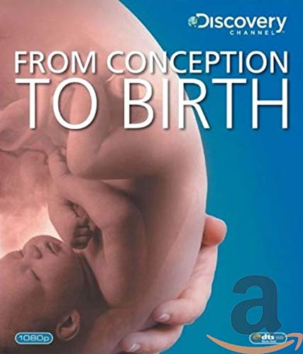 From conception to birth