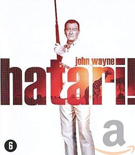 Hatari 2013