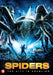 Spiders