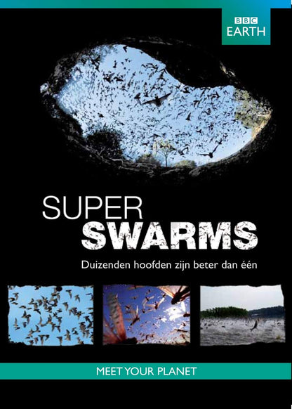 BBC earth - Superswarms