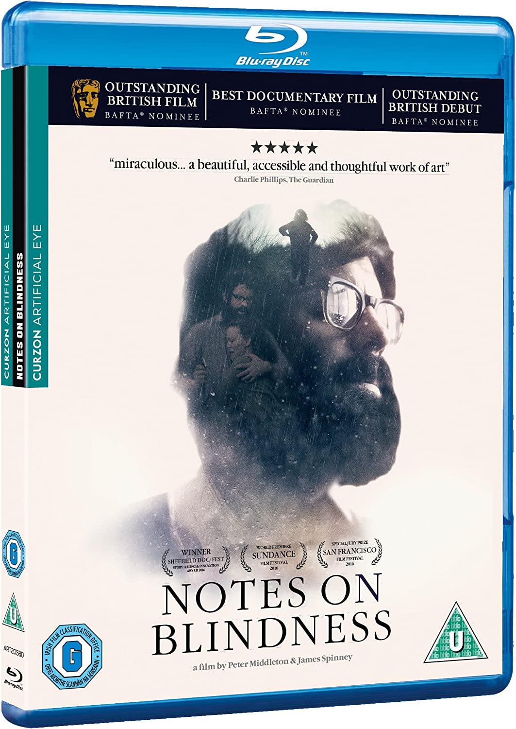 Notes On Blindness