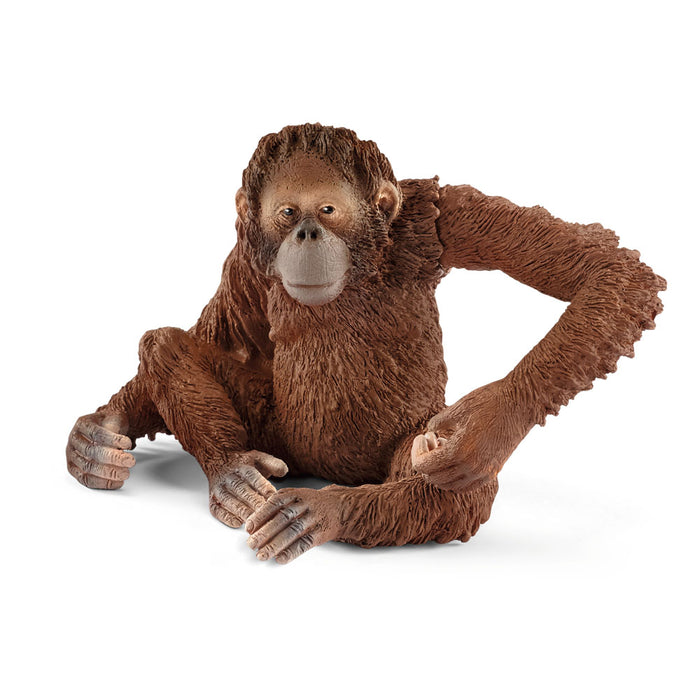 Schleich-14775 Figura de Orangután Hembra, Colección Wild Life, Color marrón, 6.6 cm (14775
