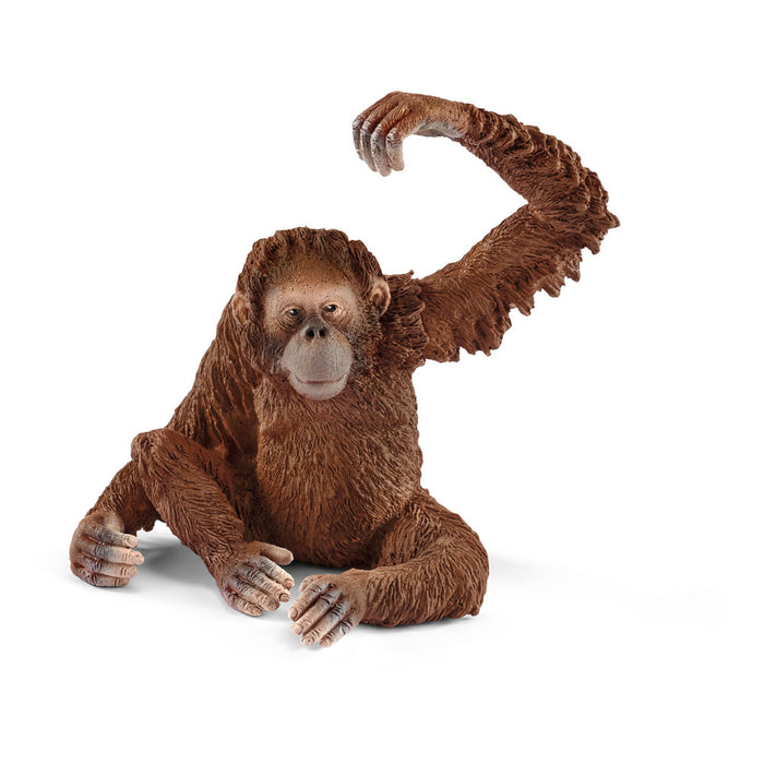 Schleich-14775 Figura de Orangután Hembra, Colección Wild Life, Color marrón, 6.6 cm (14775