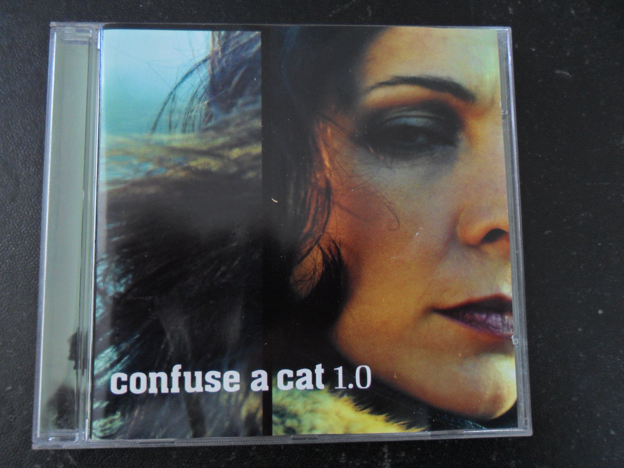 1.O - CONFUSE A CAT