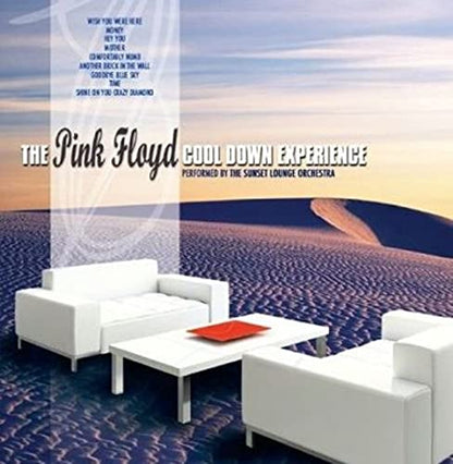 The Pink Floyd Cool Down Experience