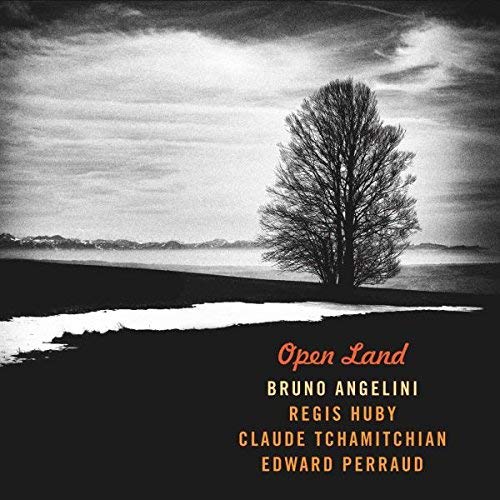 Open land