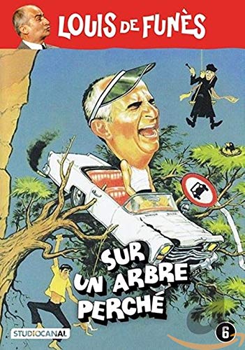 Sur un arbre perche