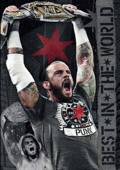 WWE: CM Punk - Best In The World