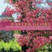 Easter Glory: Entering The Paschal Mystery Through