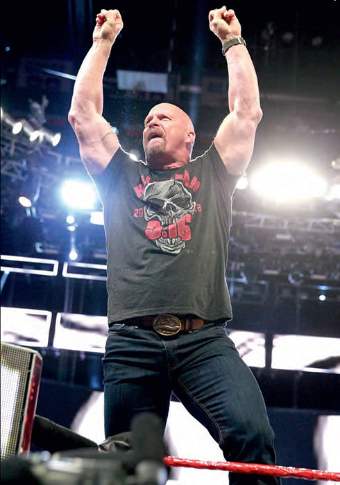 WWE: RAW 25th Anniversary