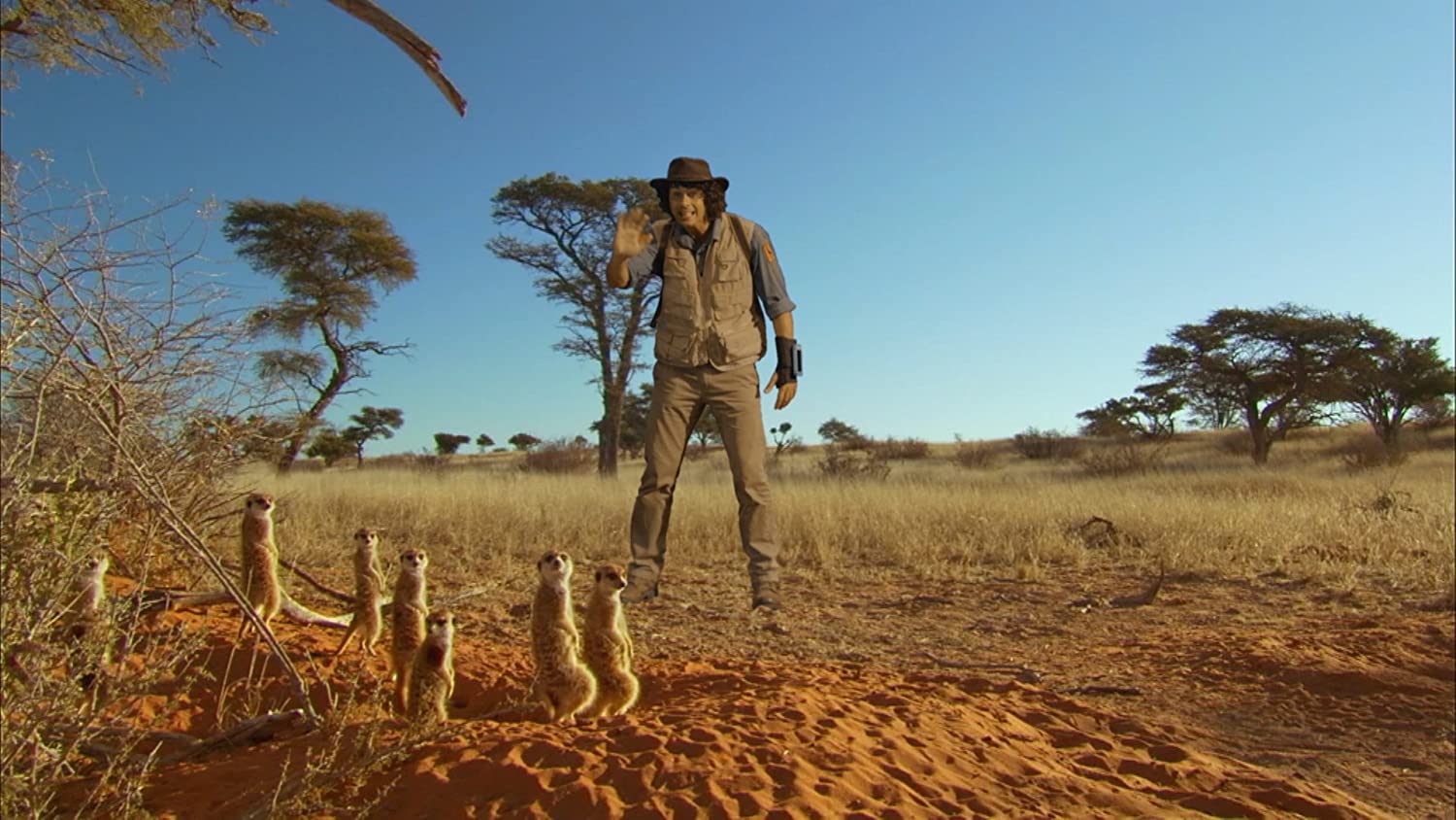 Andy's Safari Adventures: Lions, Giraffe & Other Adventures (BBC)