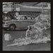 Rage Against The Machine - XX (Gold Series)