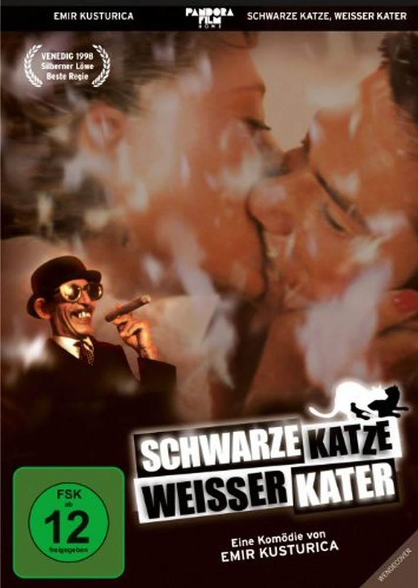 Schwarze Katze, weißer Kater