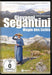 SEGANTINI, GIOVANNI - GIOVANNI SEGANTINI - MAGIE DES LICHTS